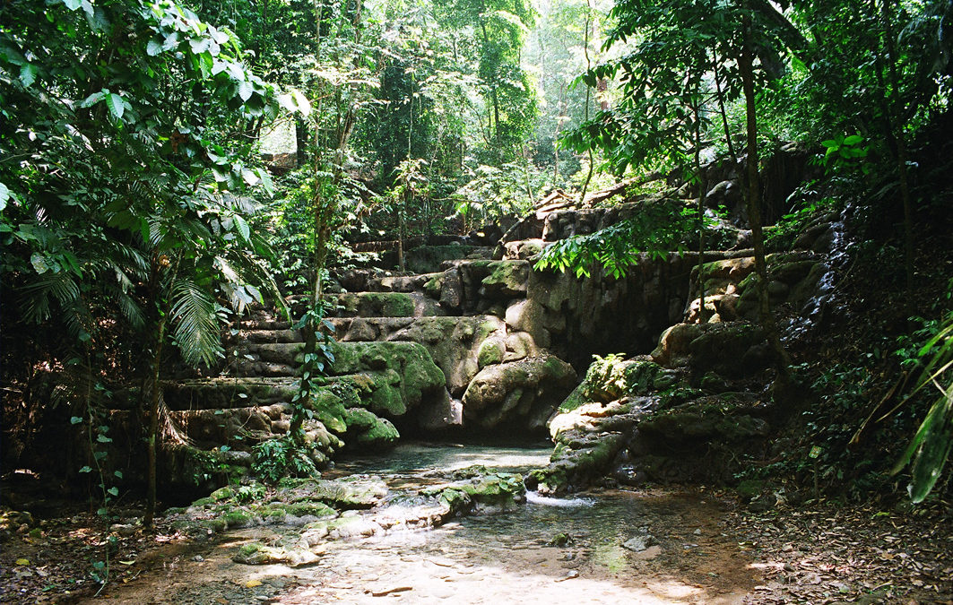 джунгли Чиапаса